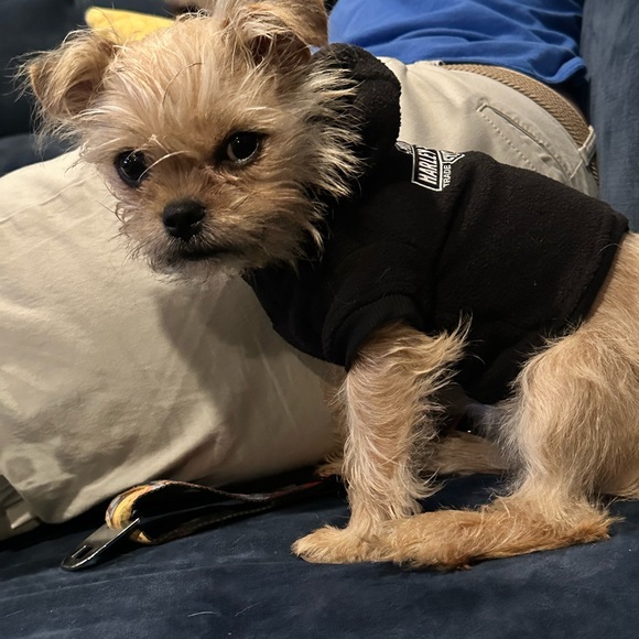 Meet your Posher, Tracy - Picture 4 of 5